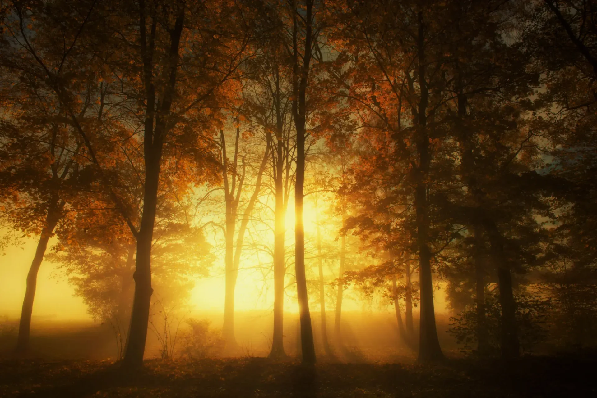 8381a3d8-2b11-4cd2-b253-55f55ee41c0b