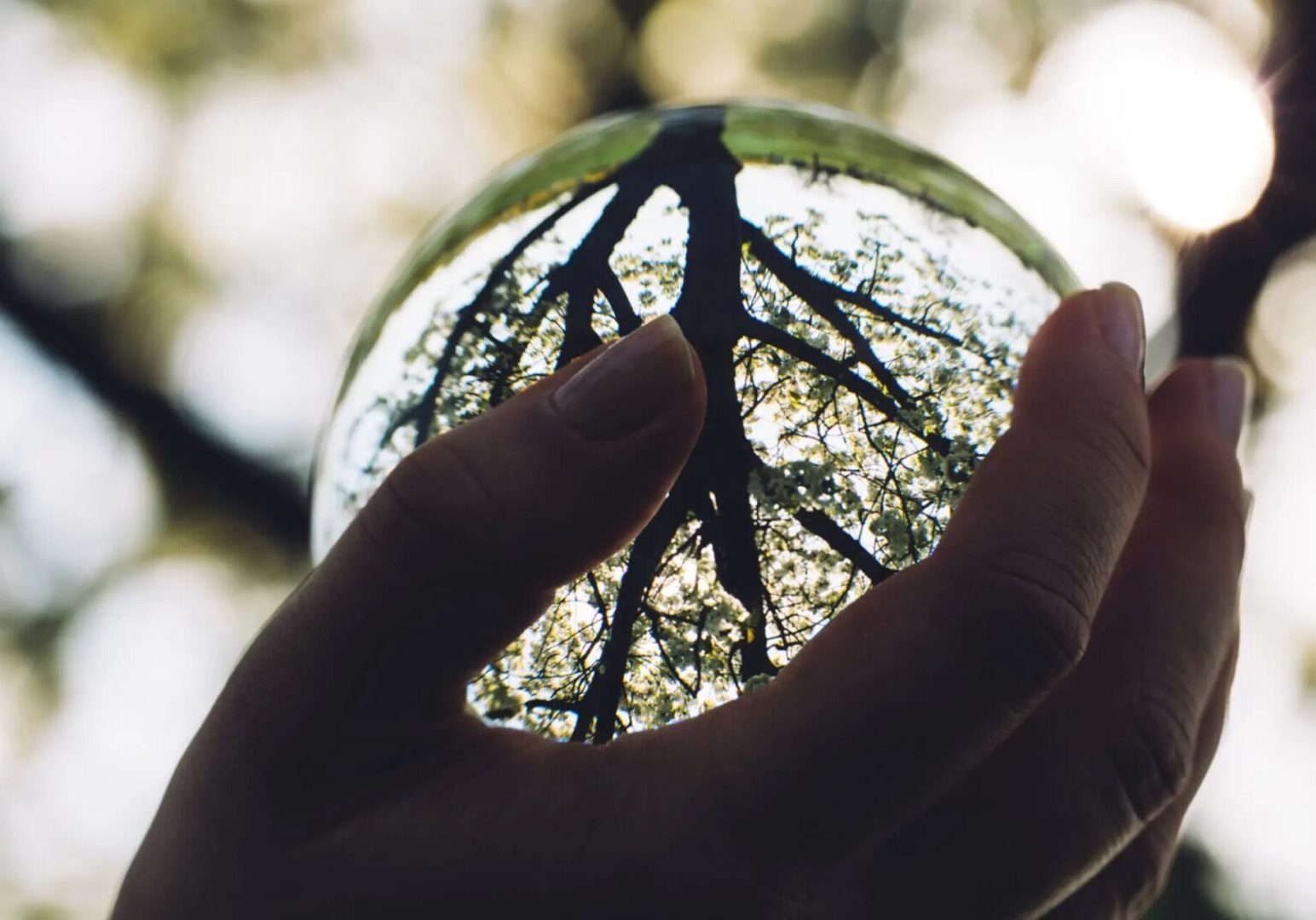 bcc8088f-c936-46ea-b1d6-5e4a2068aa7b-1-scaled