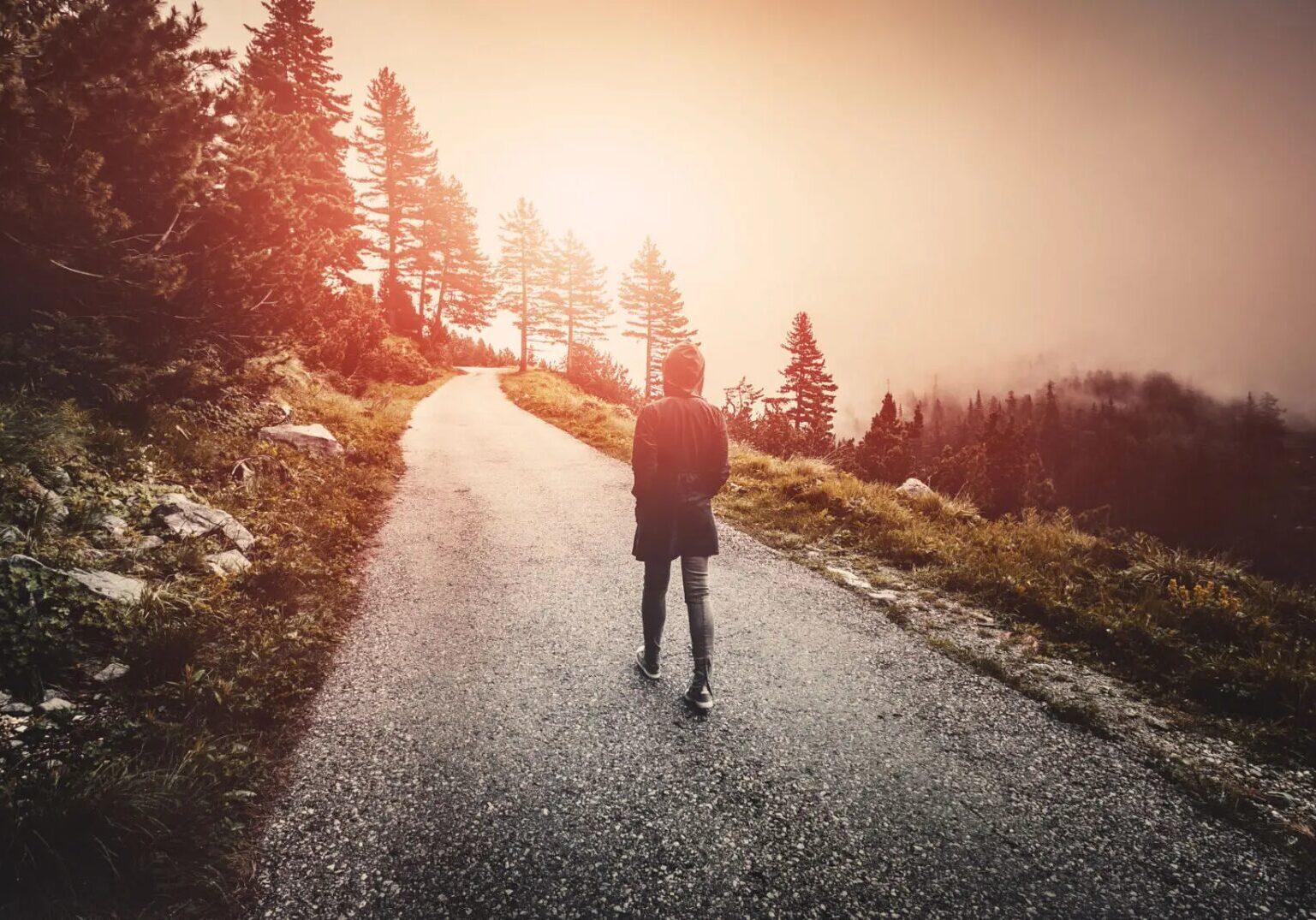 d91af2a5-85d5-4a3d-bfa2-5bba7fcd8c47-1-scaled